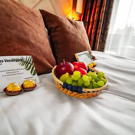 Park Boutique - Buekfuerdo 4*